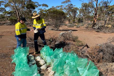 KalGold hunts “significant discovery” after land grab