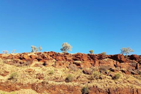 Trek, Rio Tinto strike deal