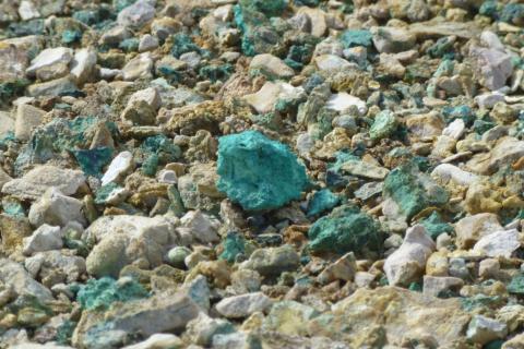 American West puts hand on copper tiger tail