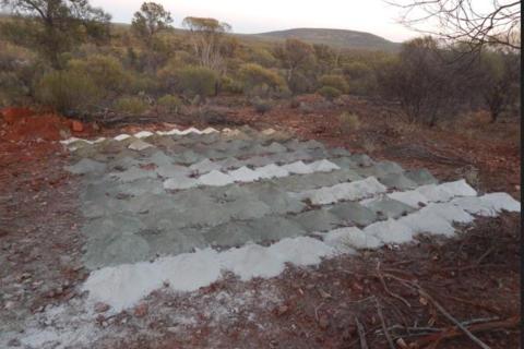 Terrain hits multiple pegmatites at Smokebush project