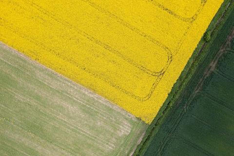 Output built on war and weather