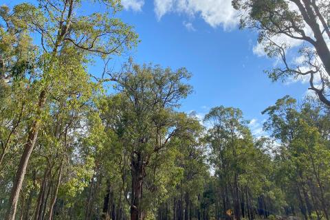 Rio abandons South West exploration pursuits