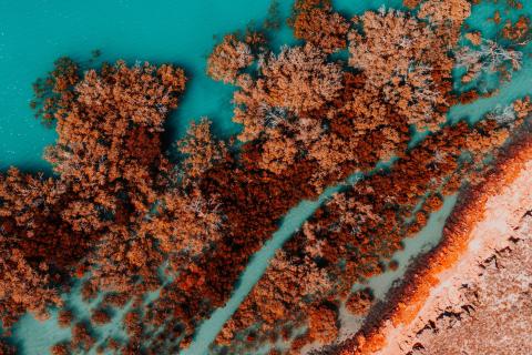 The pointy end of proving environmental credentials