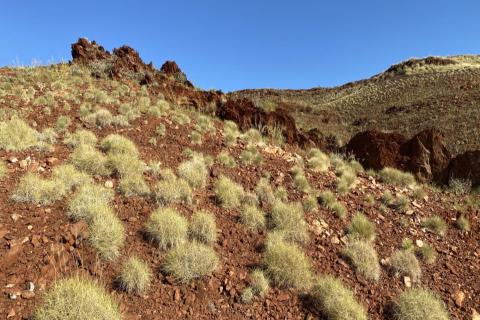 Novo drills locked in on hunt for Pilbara gold