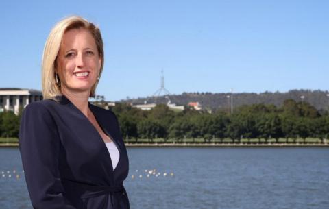 Consultancy firms to face scrutiny of Senate inquiry