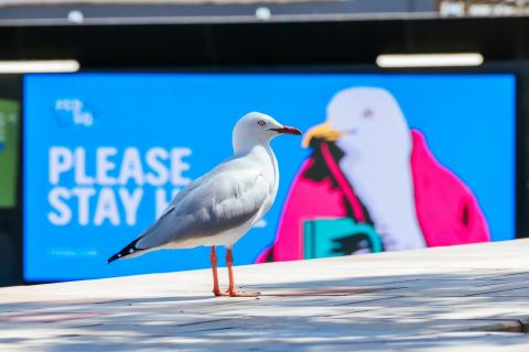 Financial affairs in a sick state