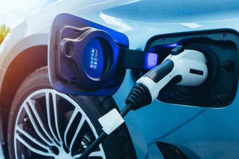 Askari runs mineral rule over Red Peak soil samples