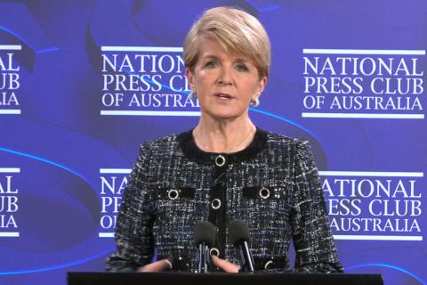 Bishop urges Australia to follow Biden’s AI regulation push
