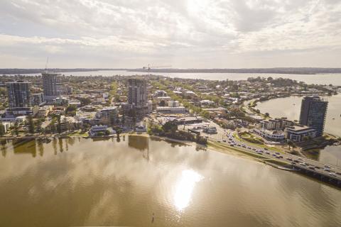 Local cultural heritage candidate in tree planting controversy