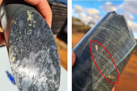 Everest deep dive pays off with ASX jump