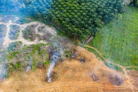 The quest for clean nickel