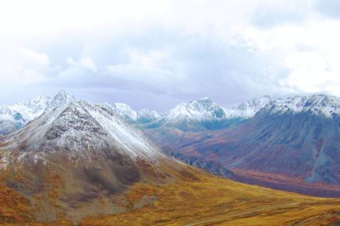 PolarX study predicts US$53m a year in free cash