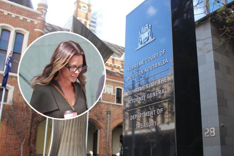 Court hears further of Rinehart children's case