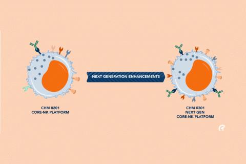 Chimeric buoyed by natural killer cell platform results