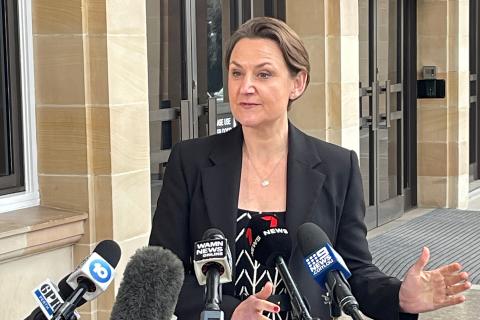 Adviser wants more hospital analysis