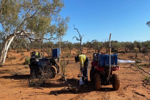 Octava positions as early mover in potential nickel province