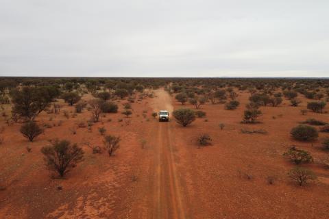 Strickland Metals to kick off Yandal heritage survey