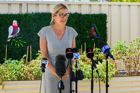 Mettam’s Voice support wanes amid info vacuum