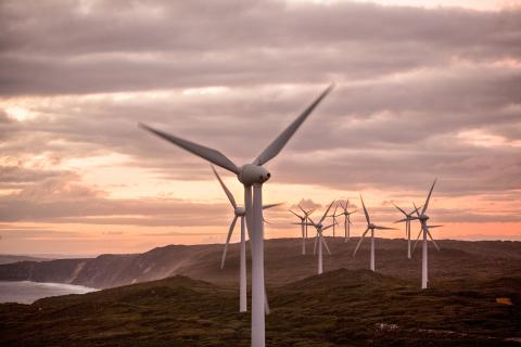Renewables poised for growth