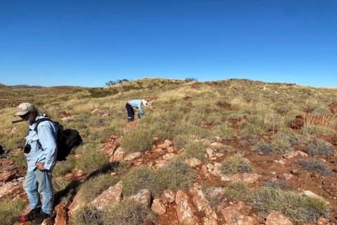 GreenTech lights up 10km lithium trend in Pilbara