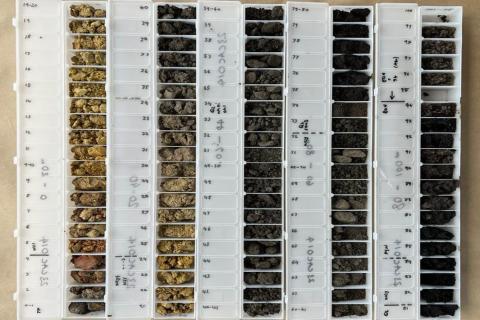 Emu awaits assays following maiden Condingup campaign