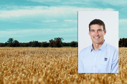 Lamp takes helm of CSBP