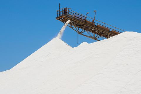 Carnarvon salt mine in sale talks