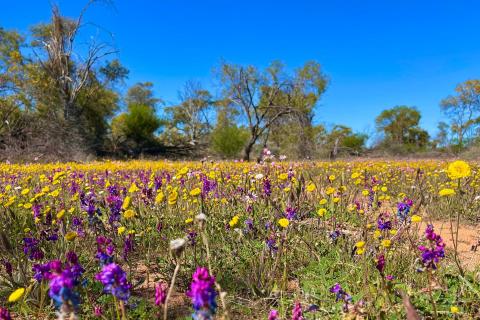 Keep moving to see the colour