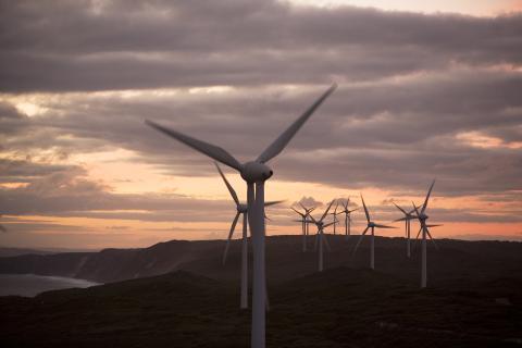 Synergy generates $732 million loss