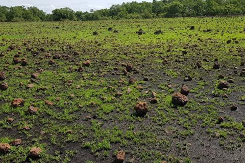 Lindian sets out giant target for Malawi rare earths play