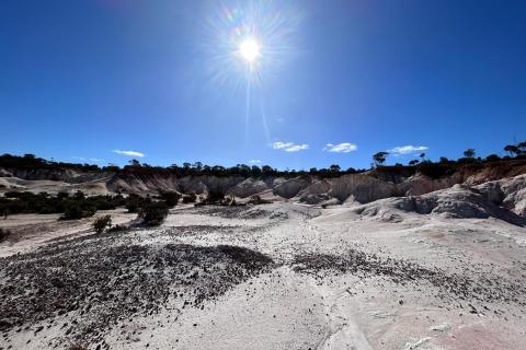 Emu dives into rare earths abundance at Condingup