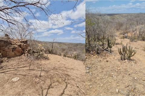 Gold Mountain hits Brazilian ground for lithium search