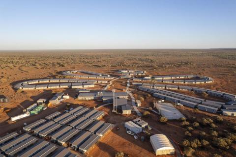 Liontown reaches Kathleen Valley milestone