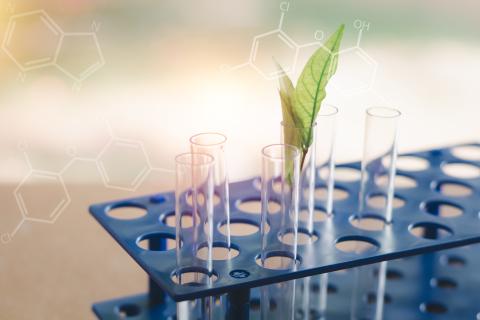 Brain cancer survival hopes lifted in Chimeric trials