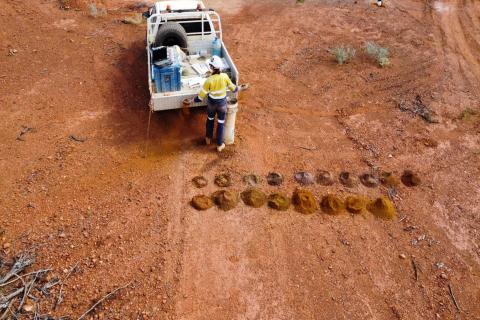 Horse Well continues golden run for Strickland