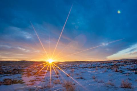 Xanadu on hunt for new Mongolian copper-gold