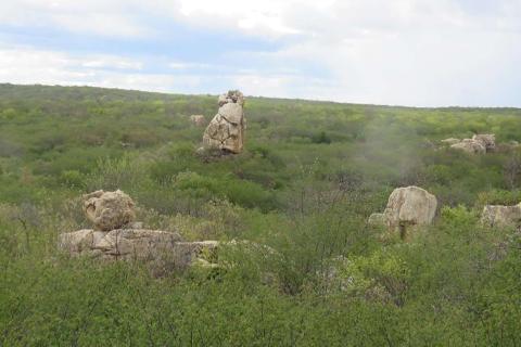 Anomalous lithium boost for Gold Mountain in Brazil