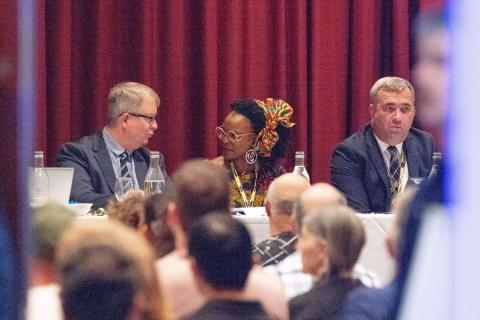 AVZ Minerals board survives oust bid