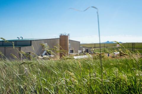 Peninsula taps investors for $60m