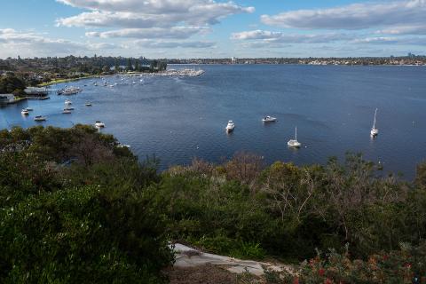 Peppy Grove pips Sydney’s Mosman for average income