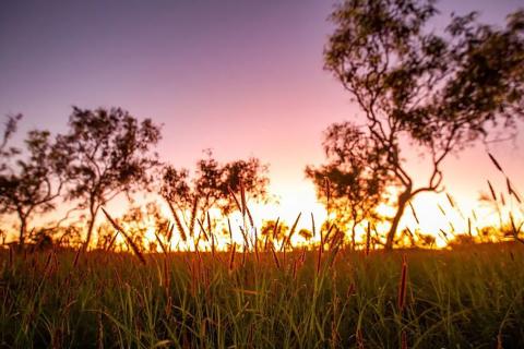 Fortescue’s new plan for huge green energy hub