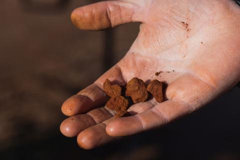 New fluorine status boosts ABx reactor process