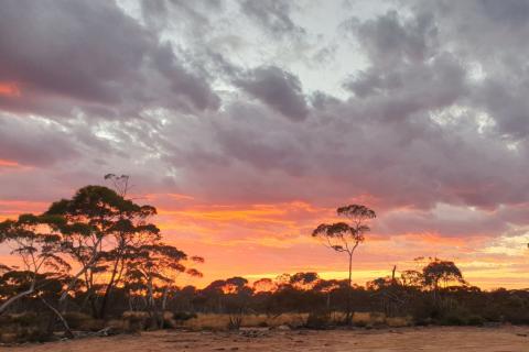 Debt free Aurumin sets sail on Sandstone gold development