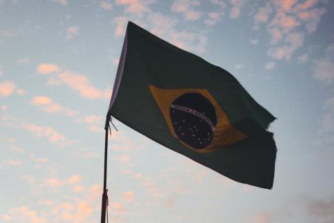 Gold Mountain rakes in giant Brazilian rare earths plot