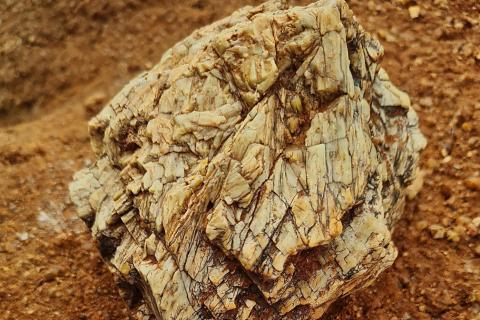 Gold Mountain samples sniff Brazilian lithium targets