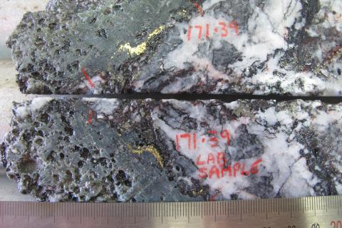 Multiple gold prospects on Horizon agenda for 2024