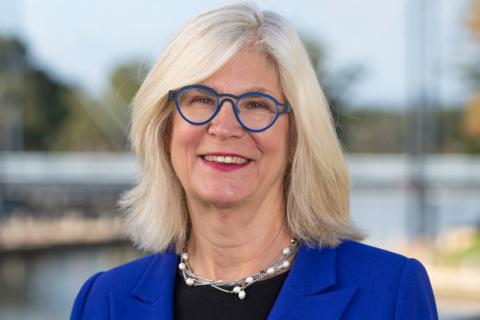 Former Lynas chair to steer Pilbara Minerals