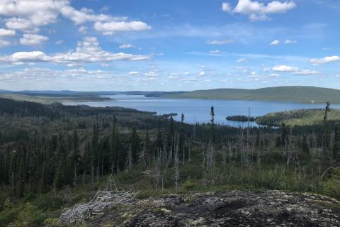 Metals Australia appoints CEO