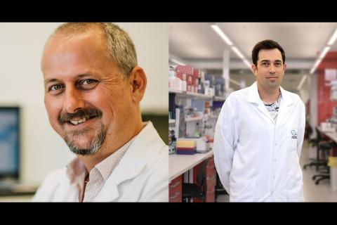 Harry Perkins Institute receives $14.2m