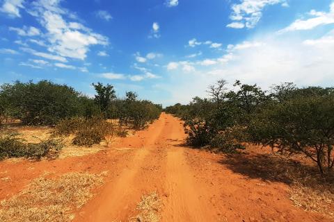 Si6 winds up Botswana drilling, nets more nickel-copper